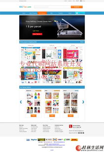 日本代購(gòu)網(wǎng)站建設(shè)公司,雅虎代拍代標(biāo)系統(tǒng)